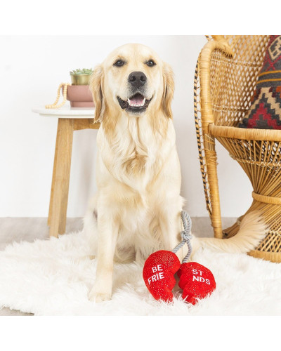 Best Friends for ever - süsses Plüschspielzeug für Hunde