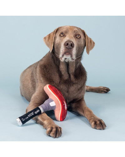 Originelles Plüschspielzeug für Hunde