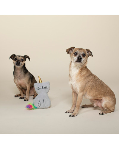 Süsses Plüschspielzeug für Hunde