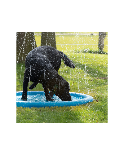 Splash Pool - Wassermatte für Hunde