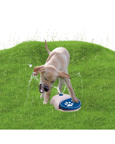 Water Fountain - Trinkbrunnen für Hunde
