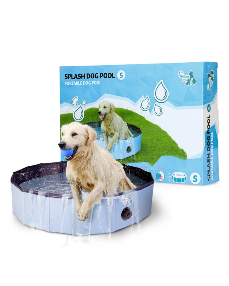 Hunde Pool