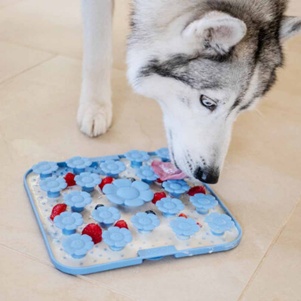 Yoomy Leckmatte für Hunde von inooko