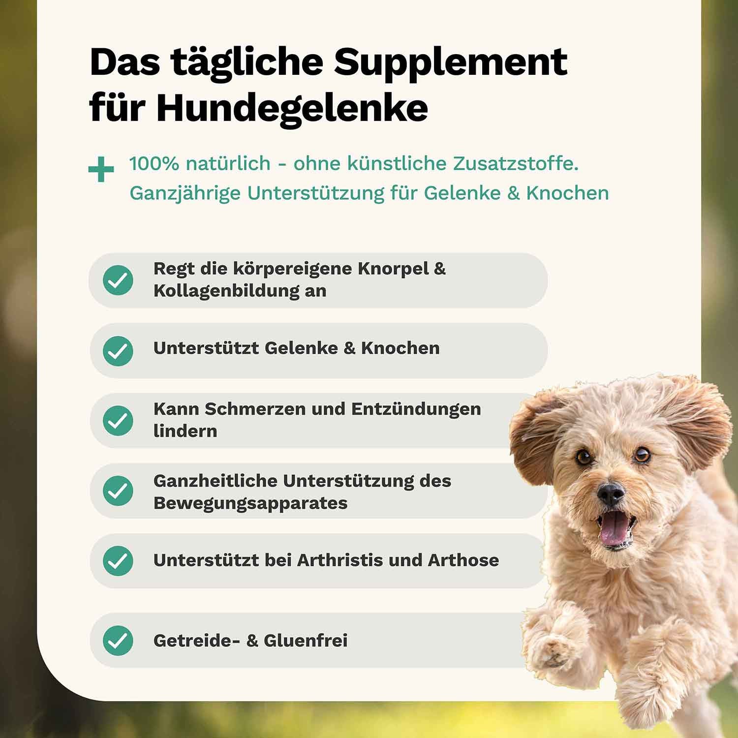 Hula Hips PRÉVIENT Friandise pour chien - Os & Articulations - Snoggos