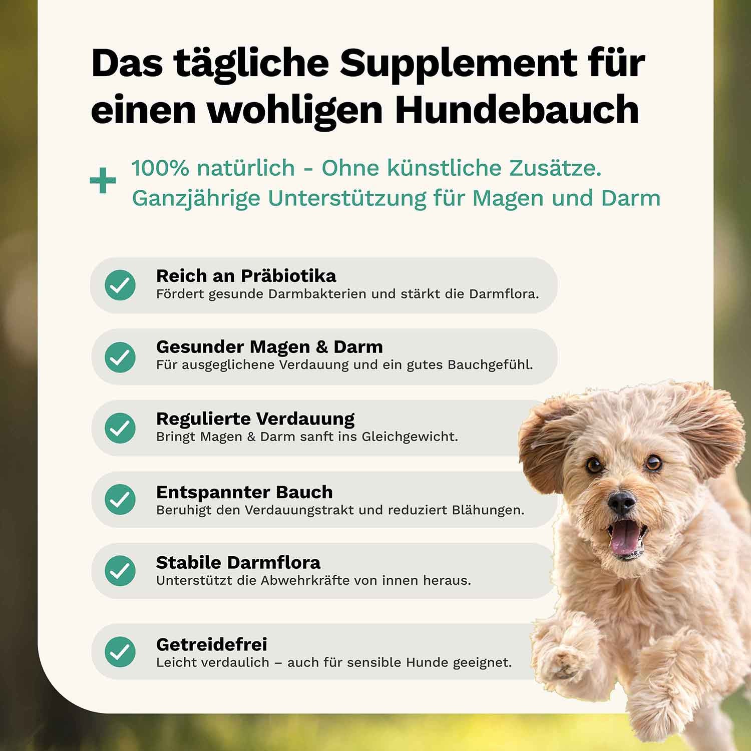 Tummy Love Friandise pour chien - Estomac & Intestins - Snoggos