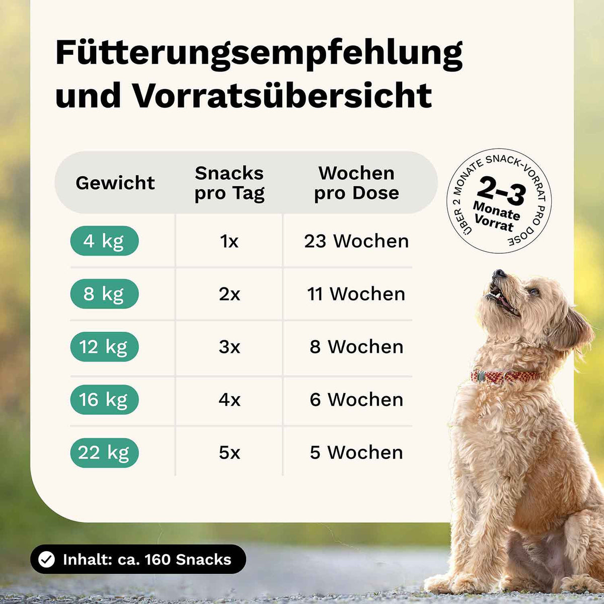 Tummy Love Hundesnack - Magen & Darm - Snoggos