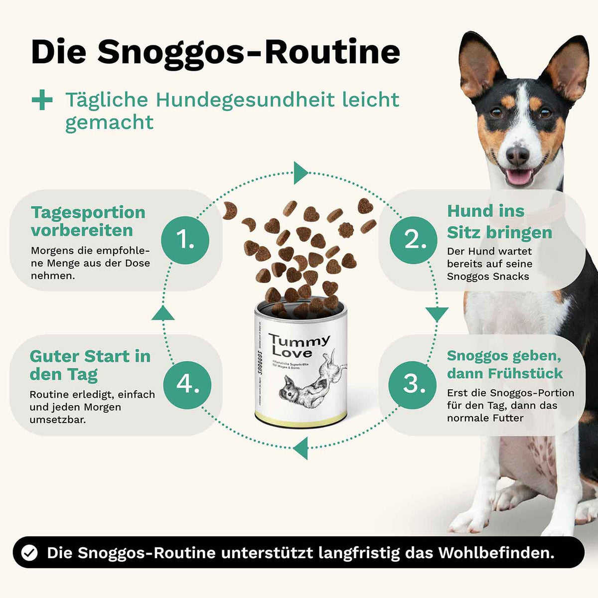 Tummy Love Hundesnack - Magen & Darm - Snoggos