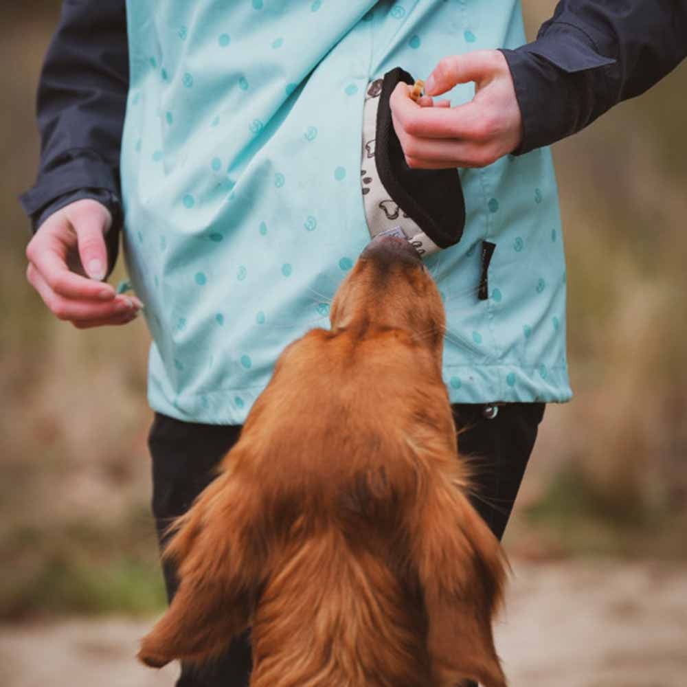 Sac à friandises QuickReward de Firedog
