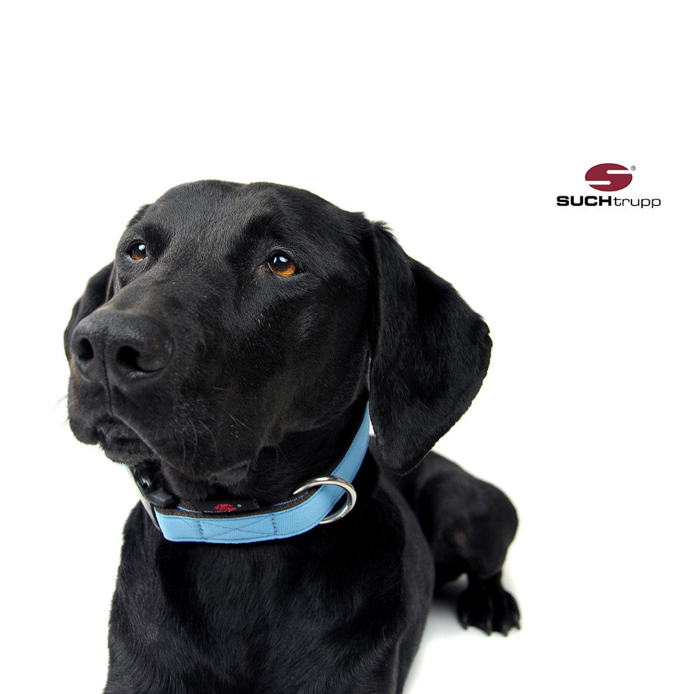 Hundehalsband LIGHT BLUE von SUCHtrupp