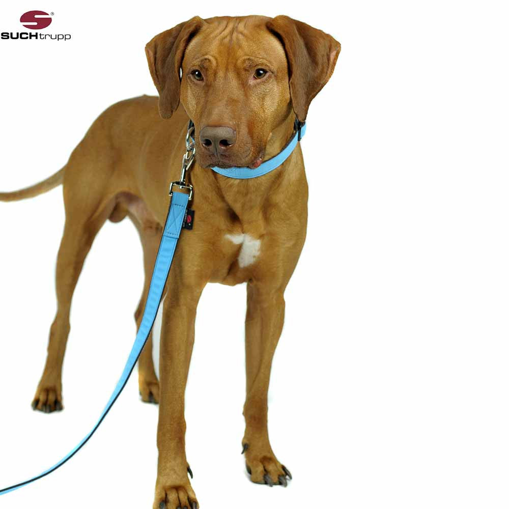 Dog Leash LIGHT BLUE 2 Meters (2cm) by SUCHtrupp