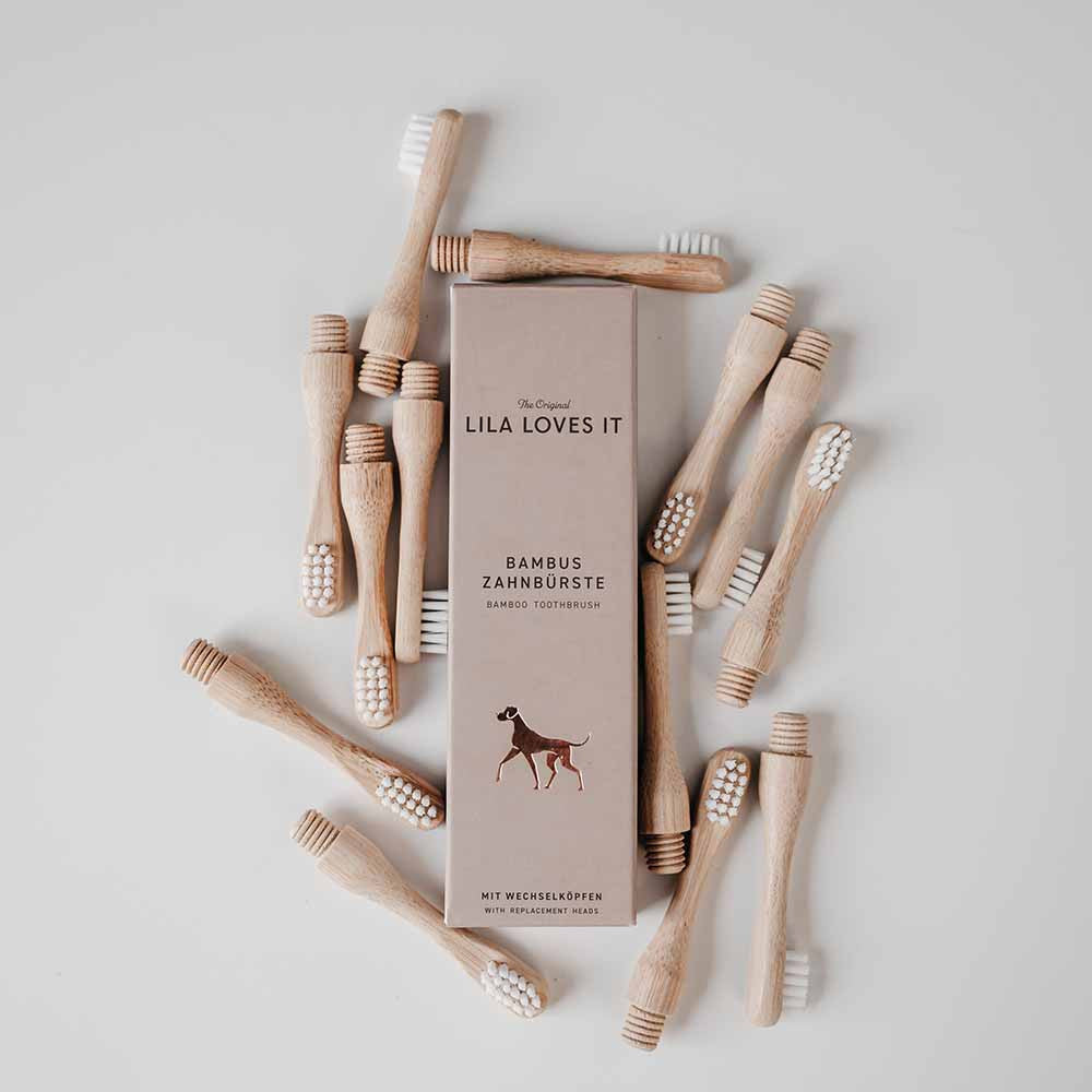 Brosse à dents pour chien en bambou - LILA LOVES IT
