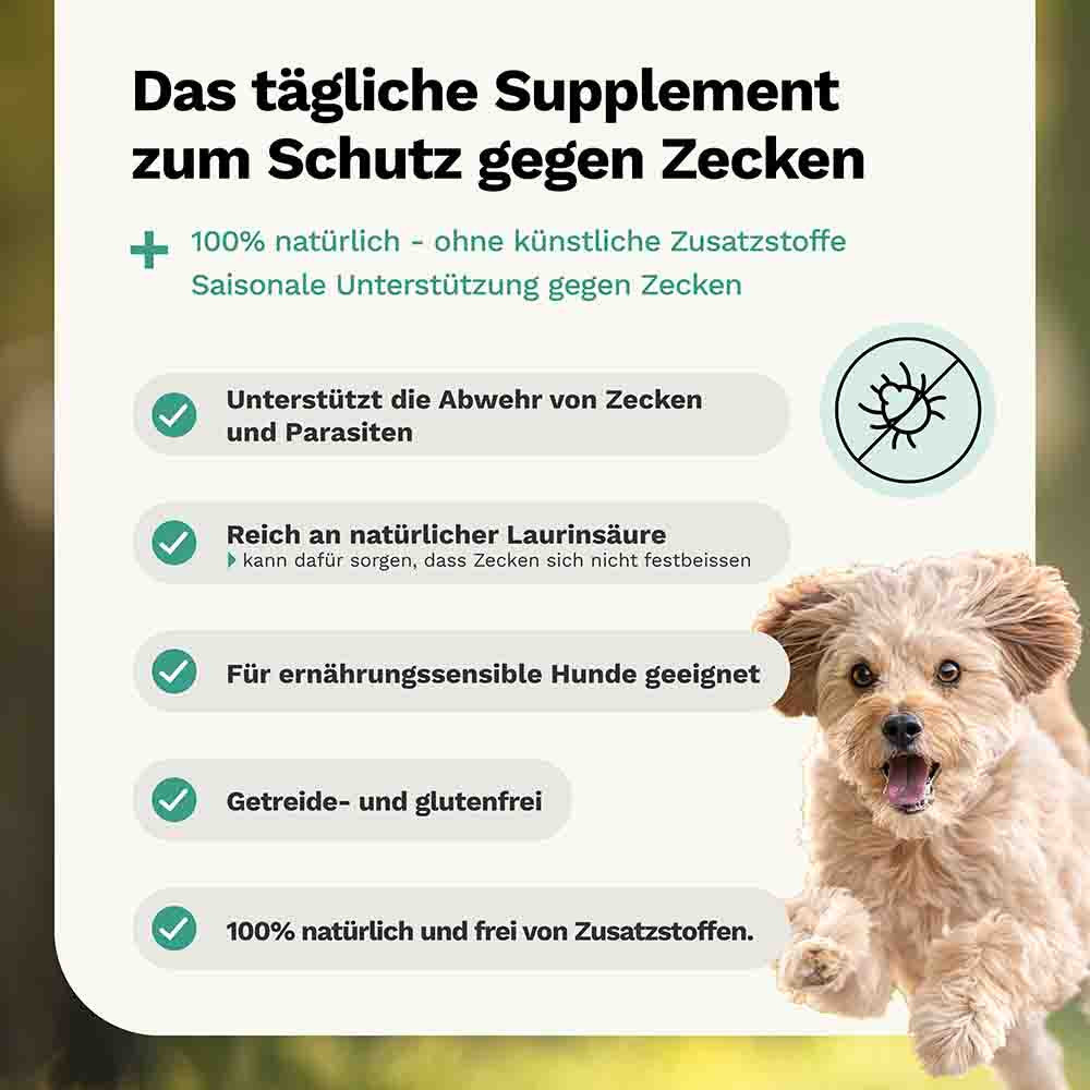 Friandise pour chien Zeck Away – Répulsif anti-tiques – Snoggos