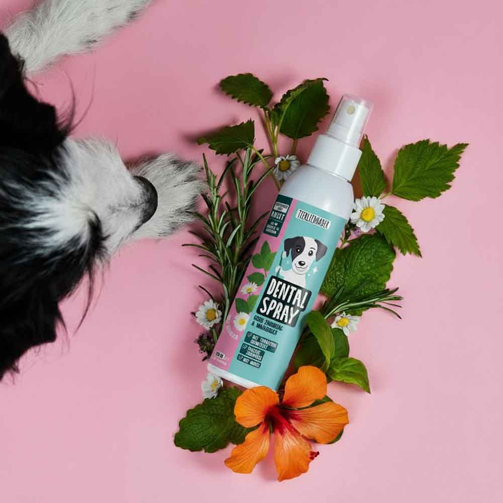 Dentalspray - Tierliebhaber
