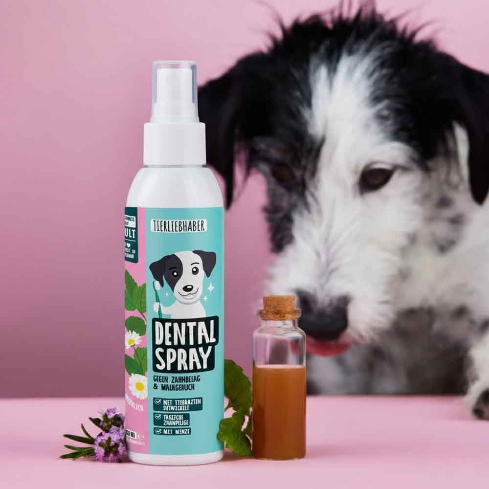 Spray dentaire - Amoureux des animaux