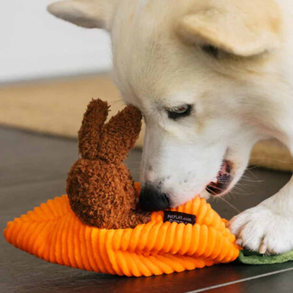 Hippity Hoppity Funny Bunnies - Dog Toy - Pet P.L.A.Y.