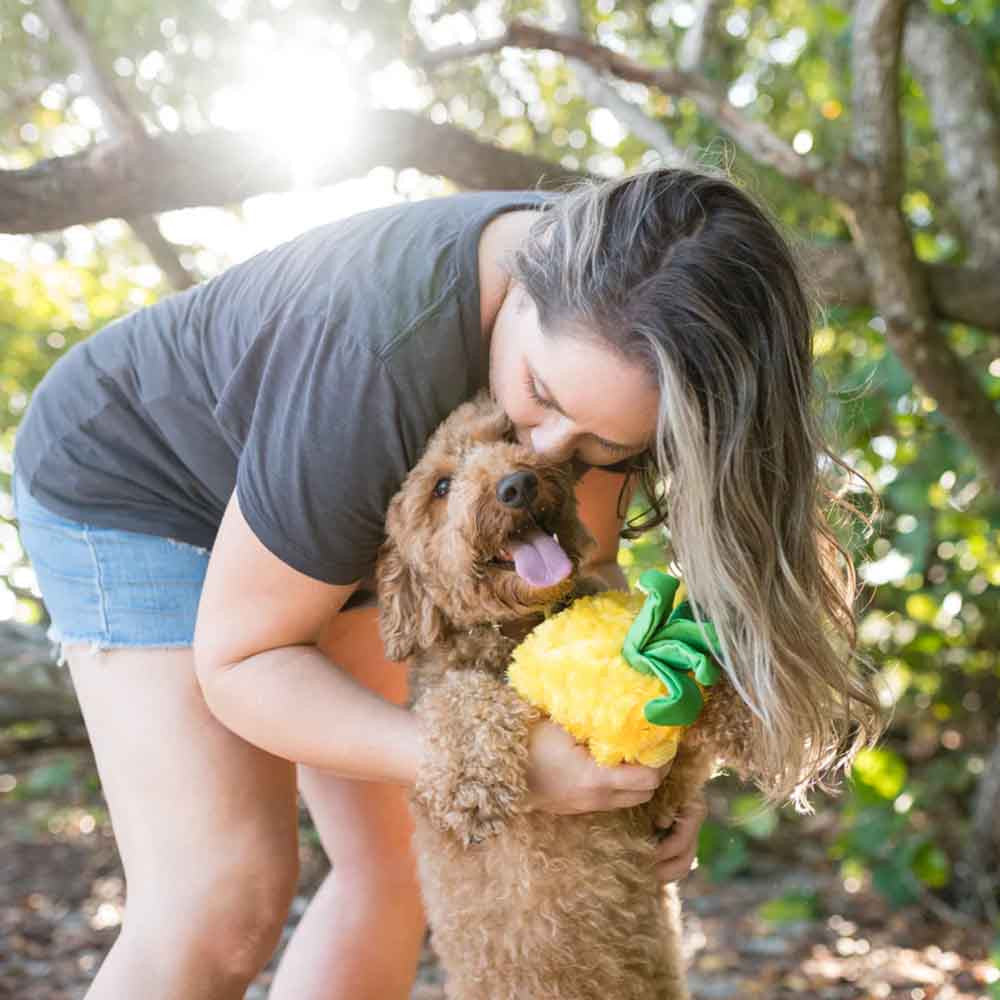 Pineapple - Puzzle Dog Toy - Pet P.L.A.Y.