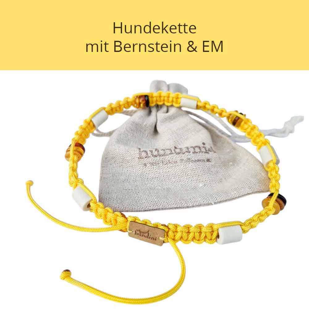 Collier pour chien - Ambre - EM - by HUNDINI