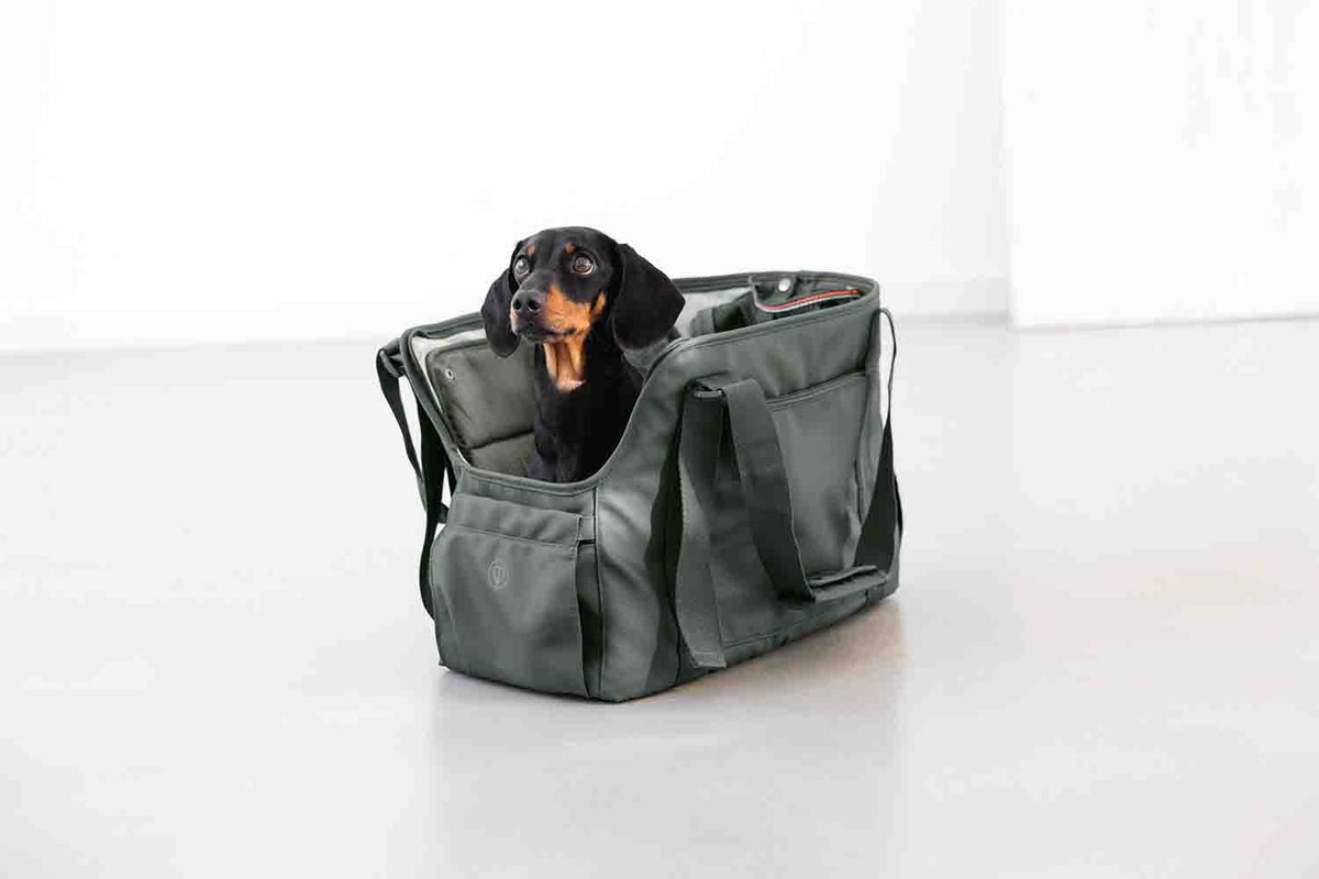 Dog Carrier Weda for Pet Transport - PALOPA