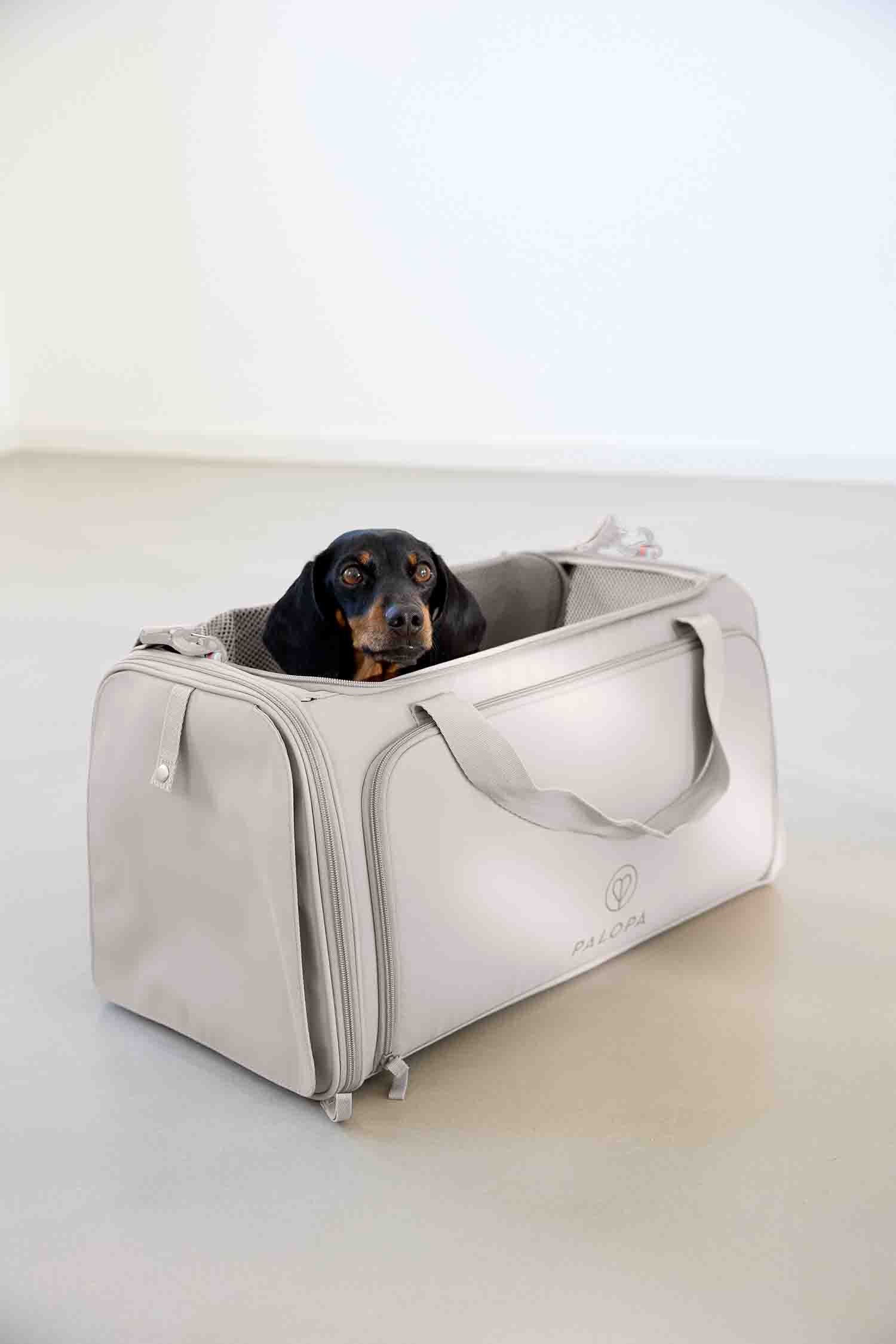 Hundetragetasche Benno für Tiertransport - PALOPA