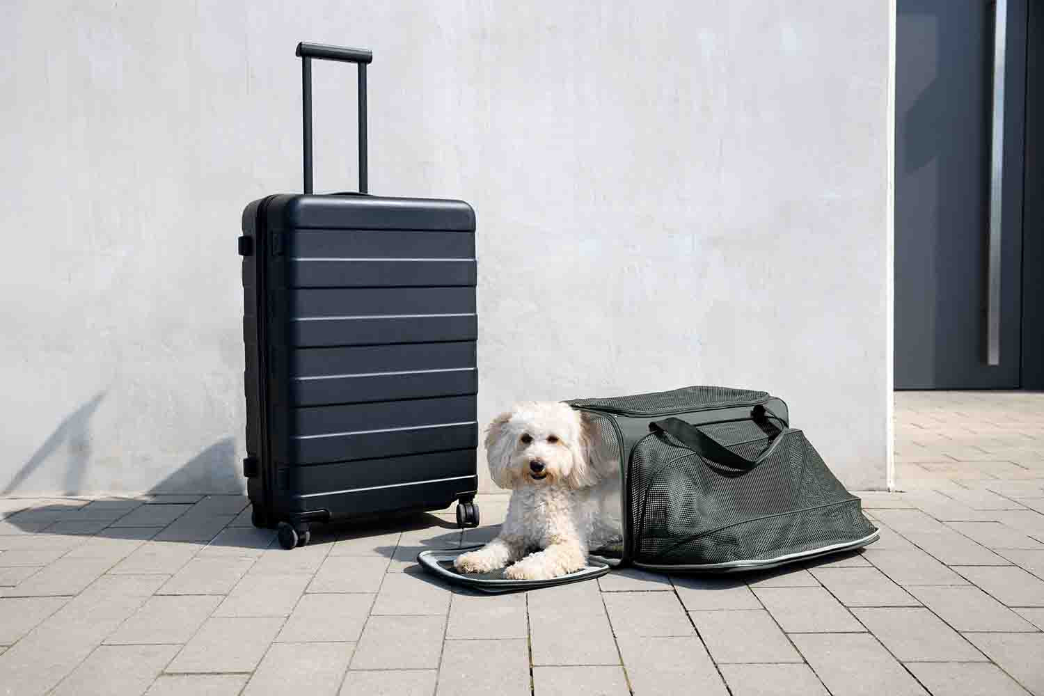 Hundetragetasche Benno für Tiertransport - PALOPA