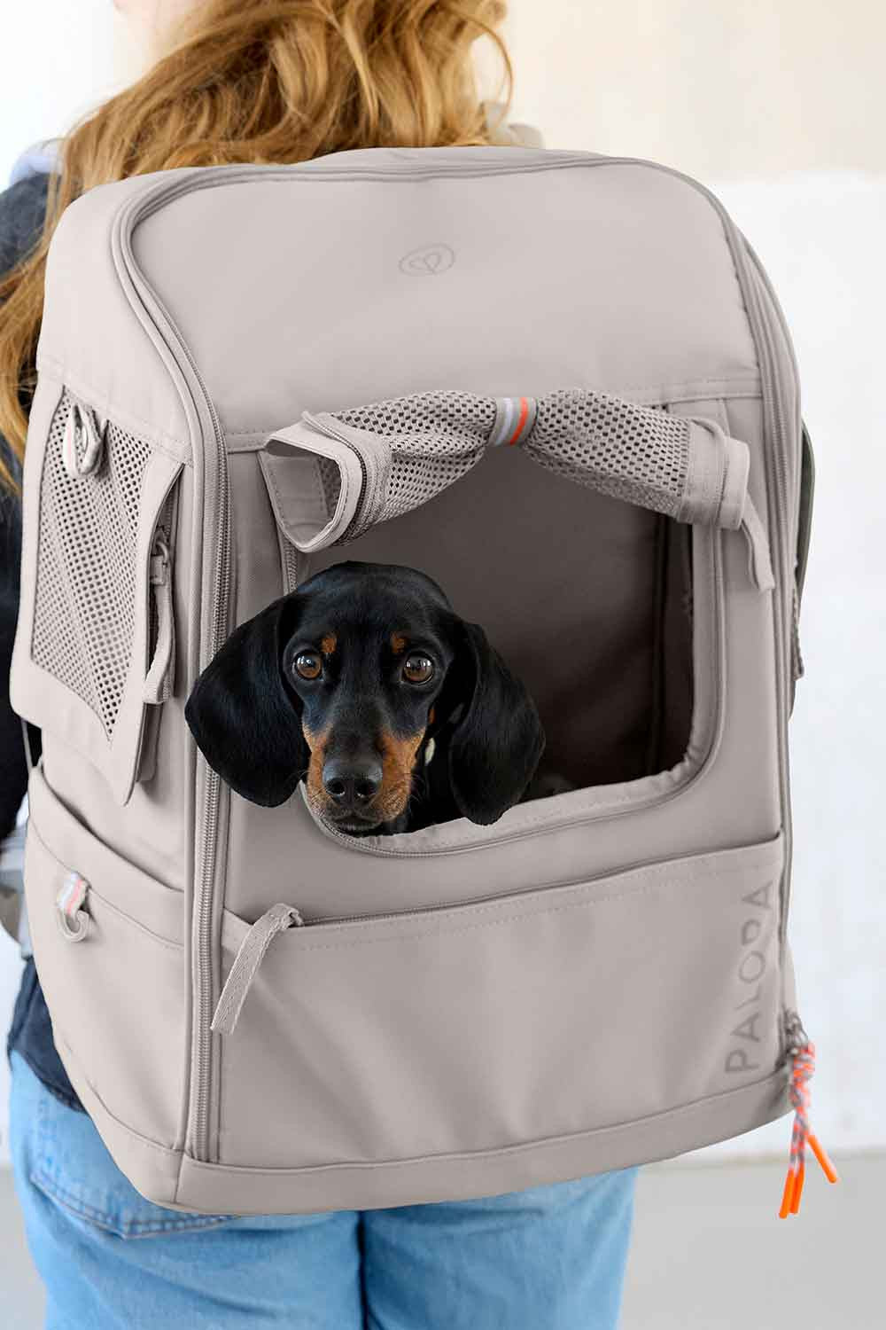 Sac à dos de transport pour chien Kari - PALOPA