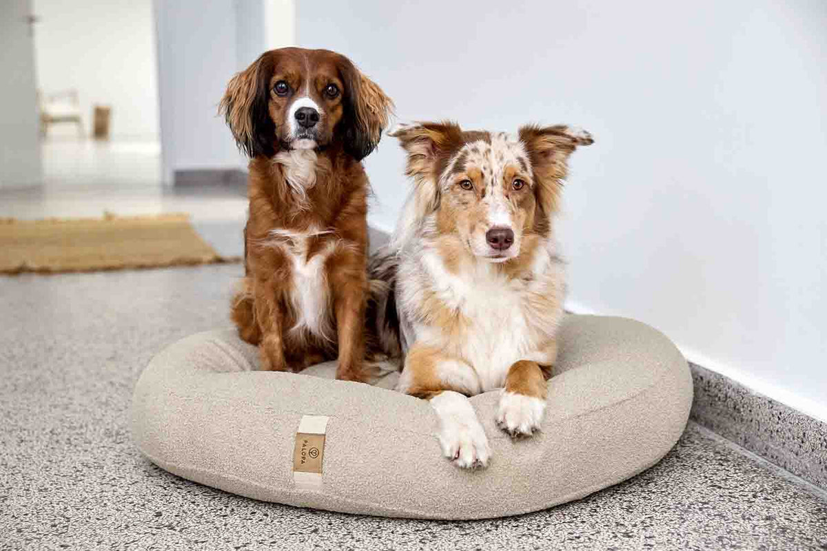 Dog Bed Fippa - PALOPA
