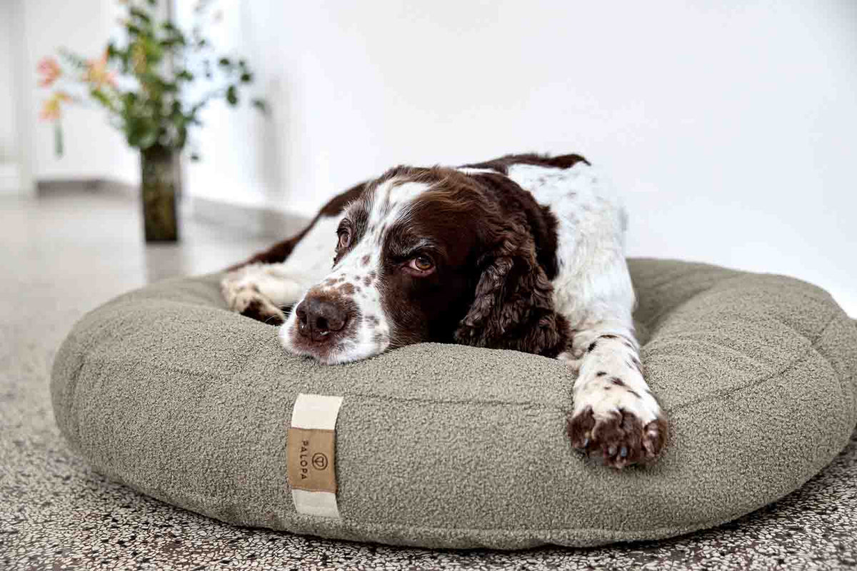 Dog Bed Fippa - PALOPA