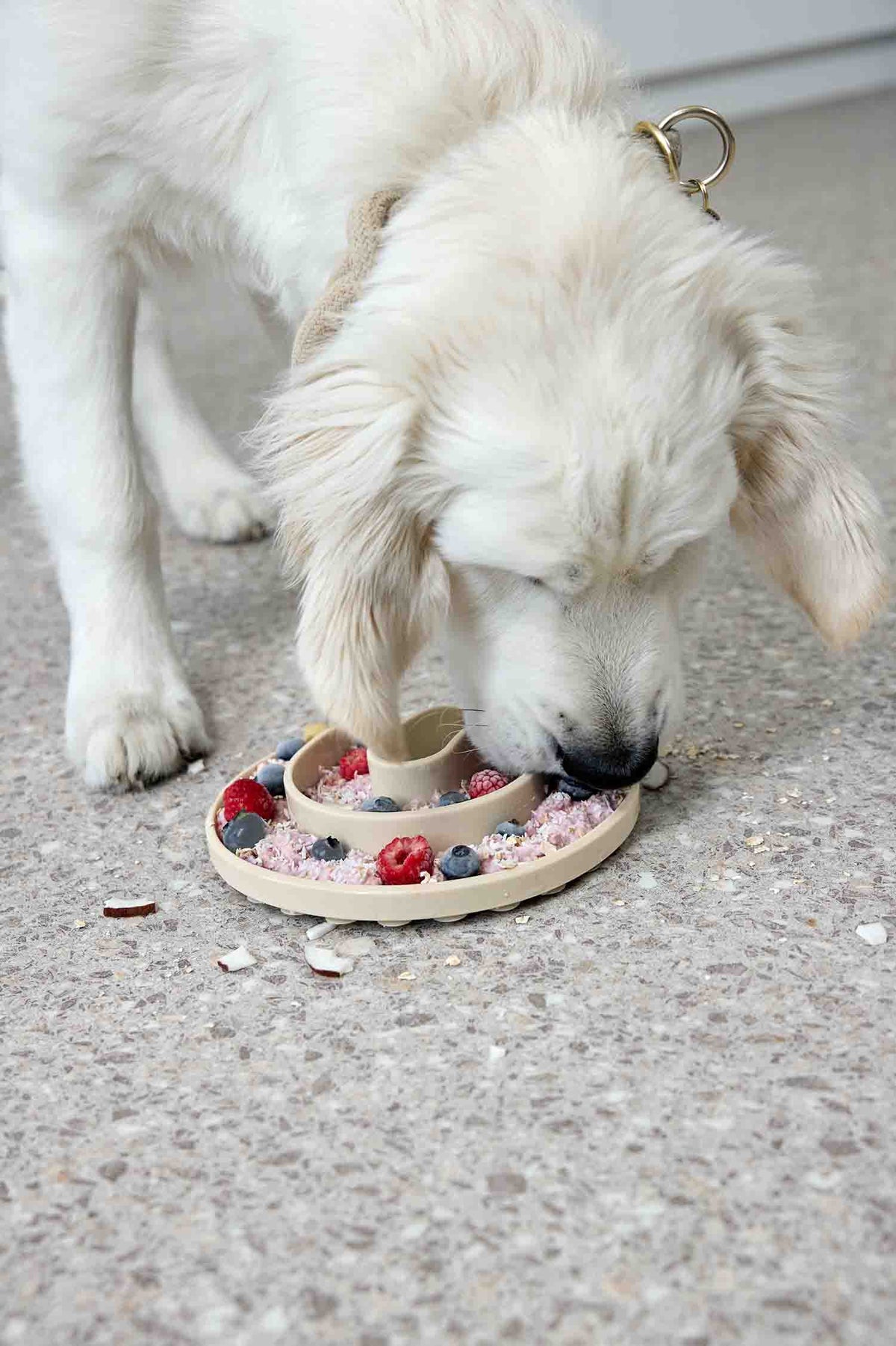 Insert anti-glouton Yumo - PALOPA