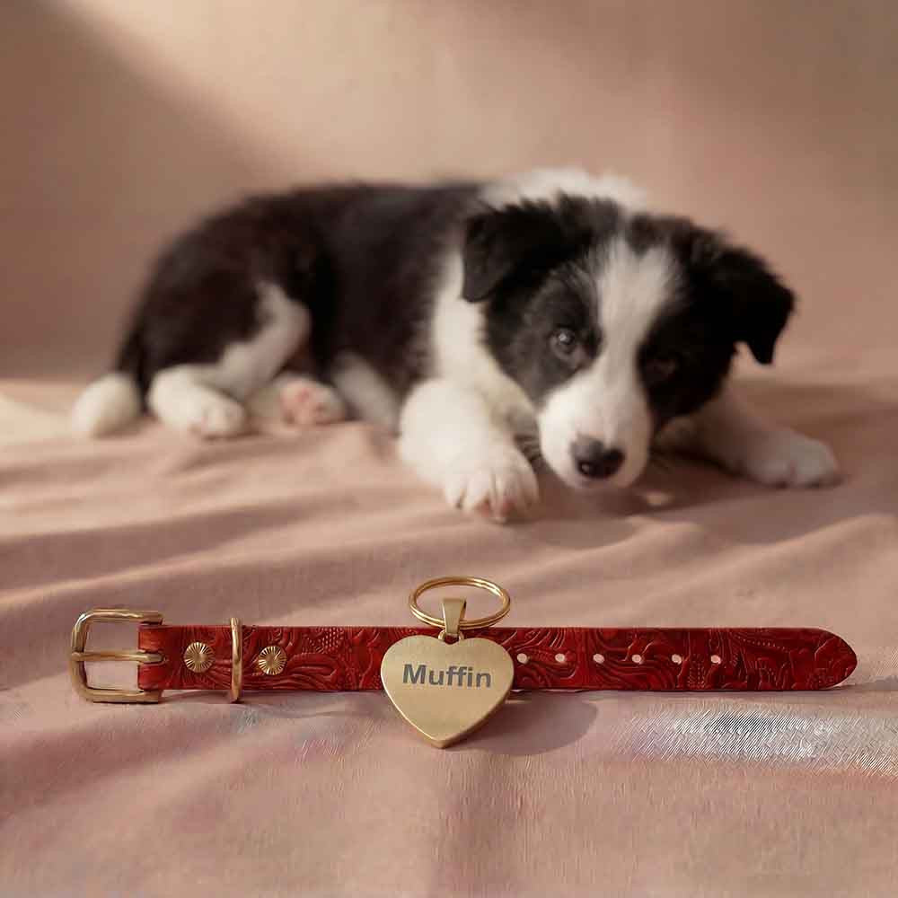 Floral Leather Dog Collar with Tag - Doggy with Style
