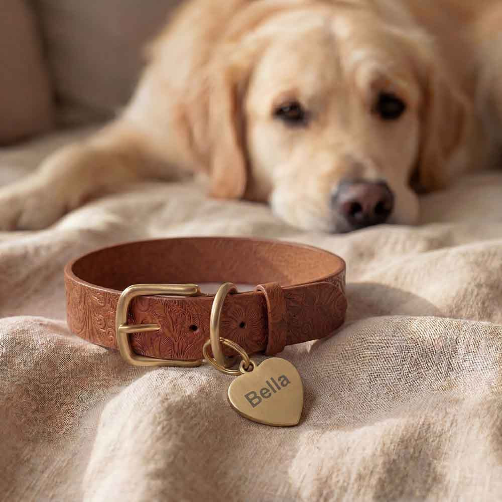 Collier pour chien en cuir Floralis avec pendentif - Doggy with Style