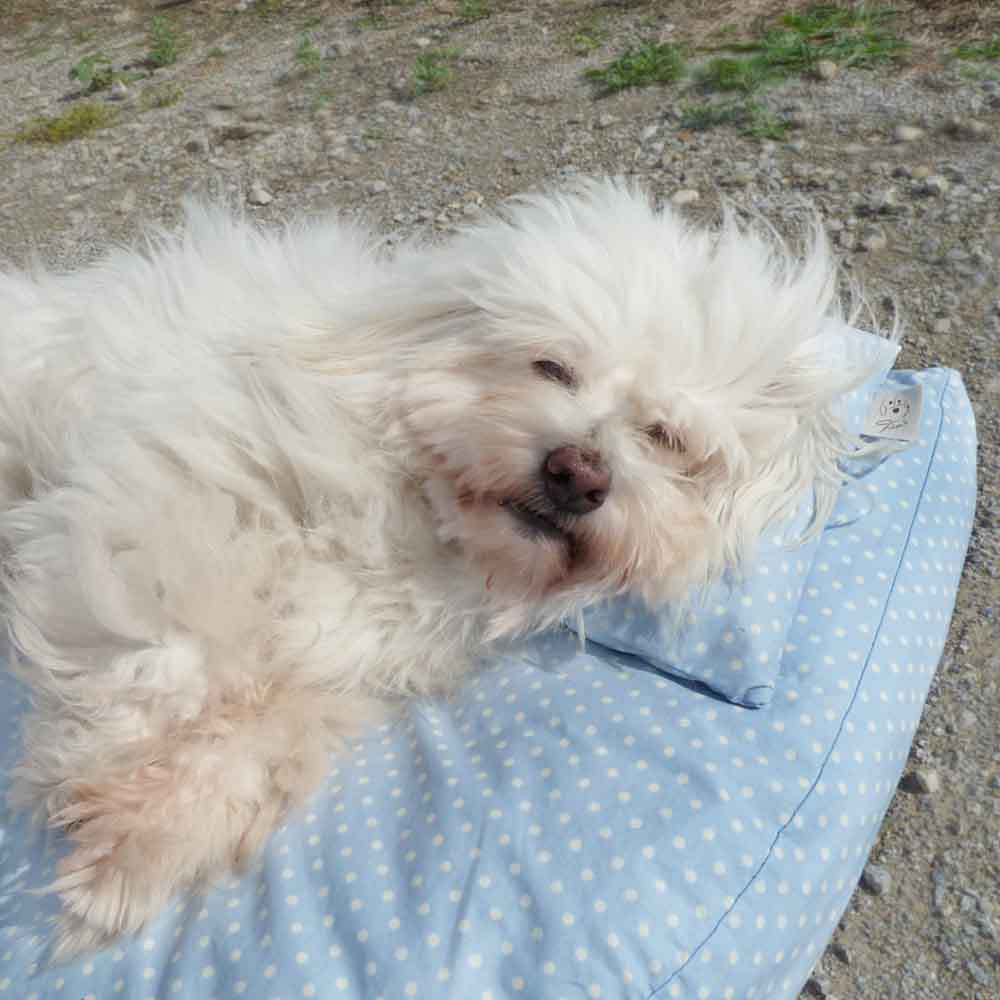 Bio-Bett wasserabweisend hellblau von Dog Filou‘s