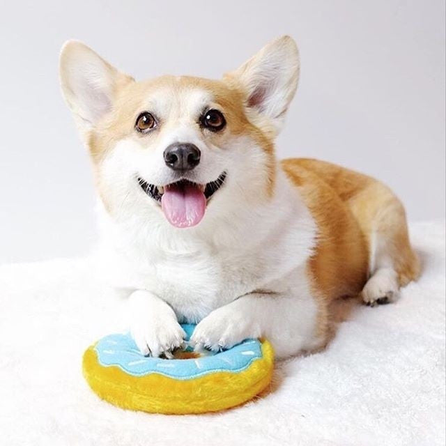 Donutz von Zippy Paws