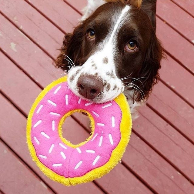 Donutz von Zippy Paws