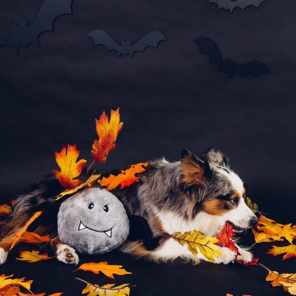 Plüschspielzeug Brainey Fledermaus von Zippy Paws