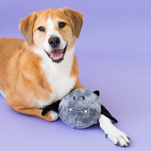 Plüschspielzeug Brainey Fledermaus von Zippy Paws