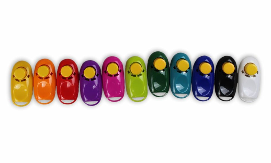 iClick Clicker