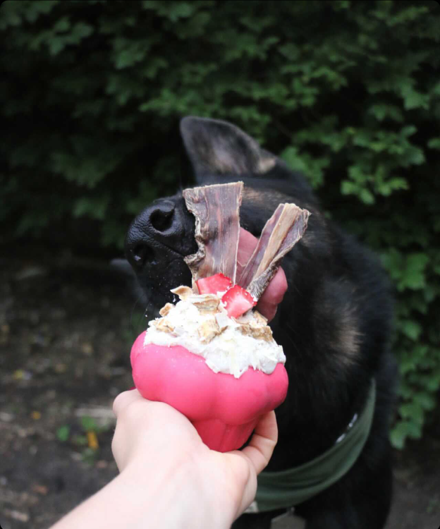 Treat Toy Cupcake by SodaPup