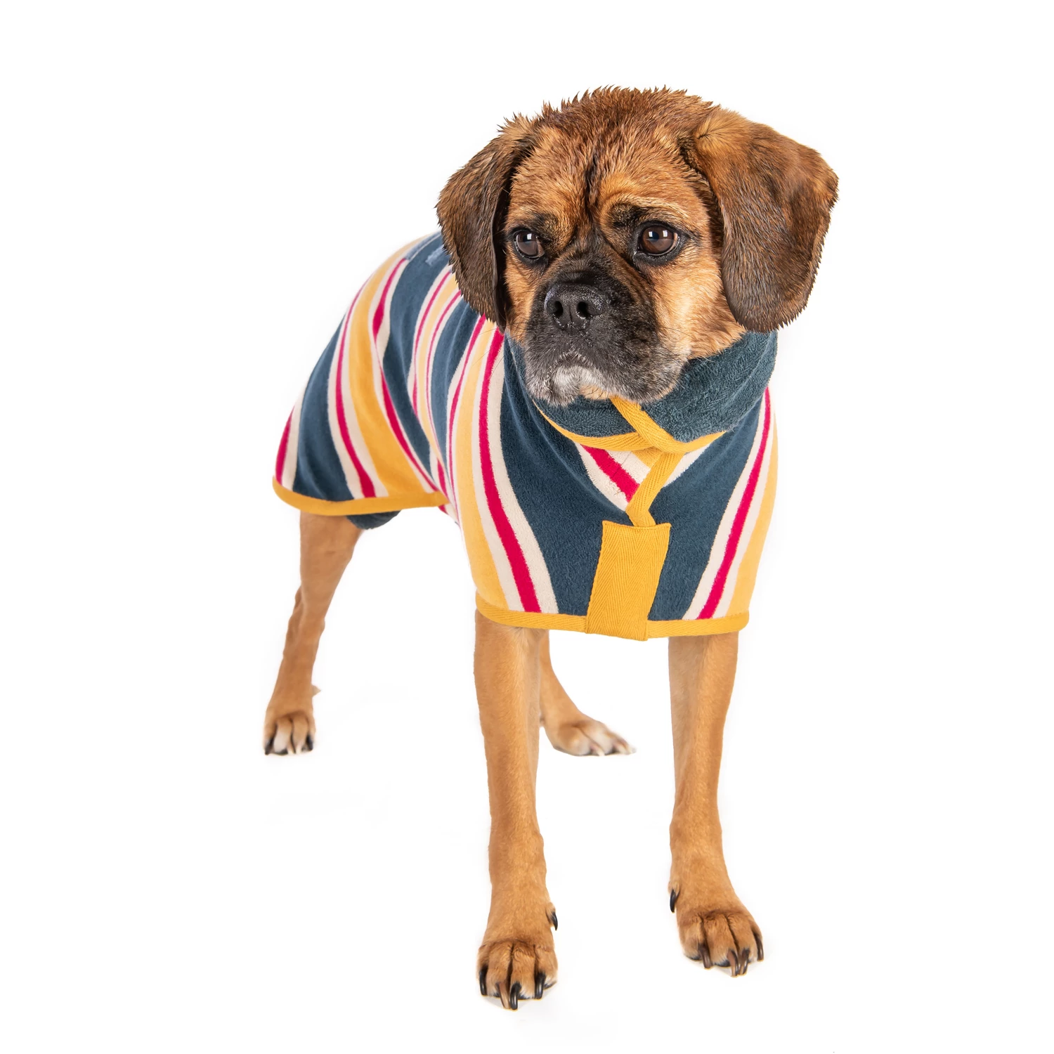 Hunde-Bademantel von Ruff And Tumble - grosse Größen