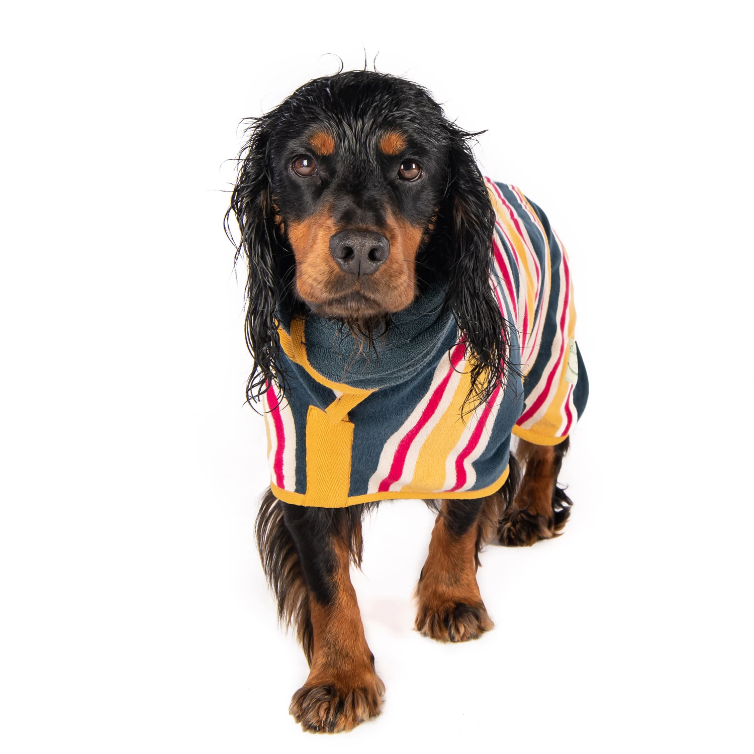 Hunde-Bademantel von Ruff And Tumble - grosse Größen