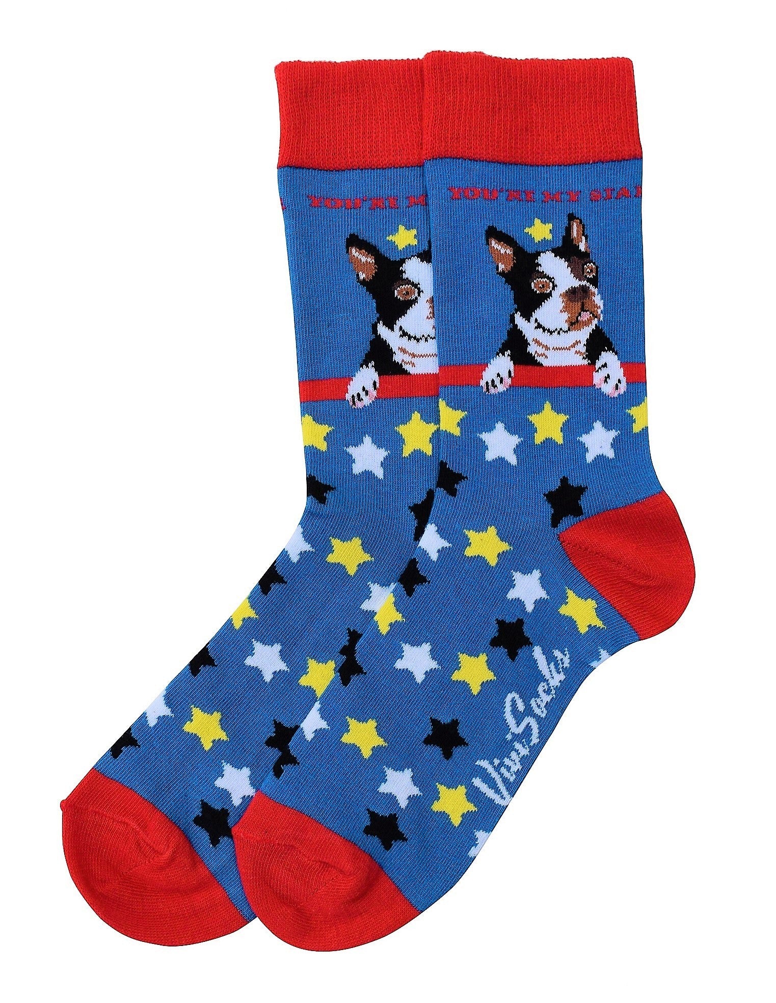 Chaussettes « Frenchie Star »