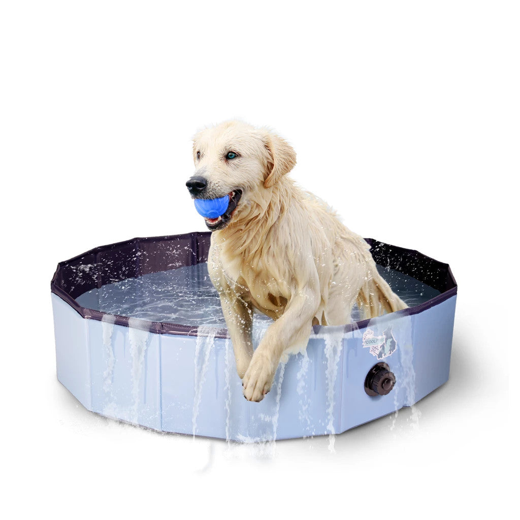 Hunde Pool - CoolPets