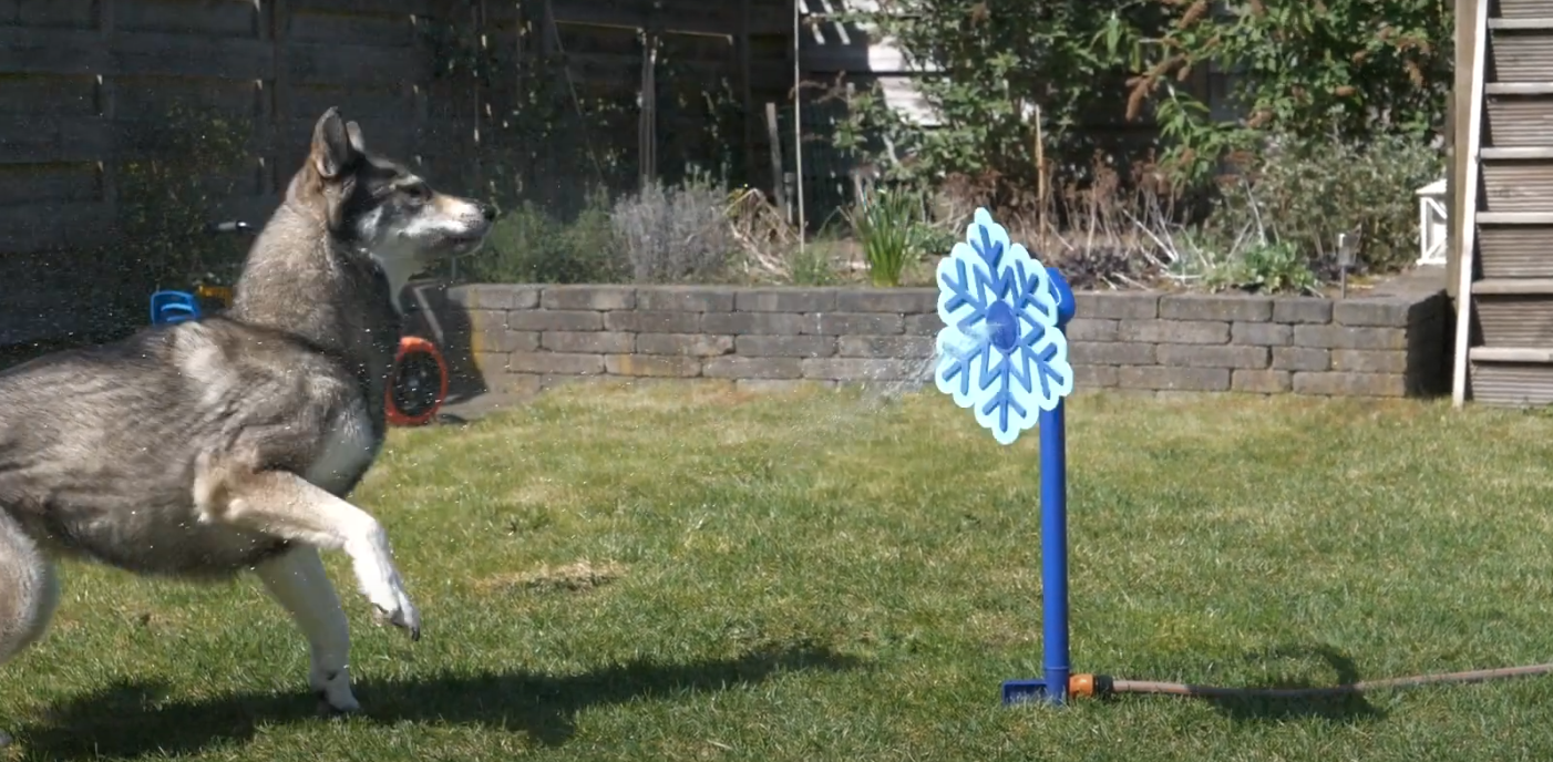 Wasser Sprinkler für Hunde - Ice Flower von CoolPets