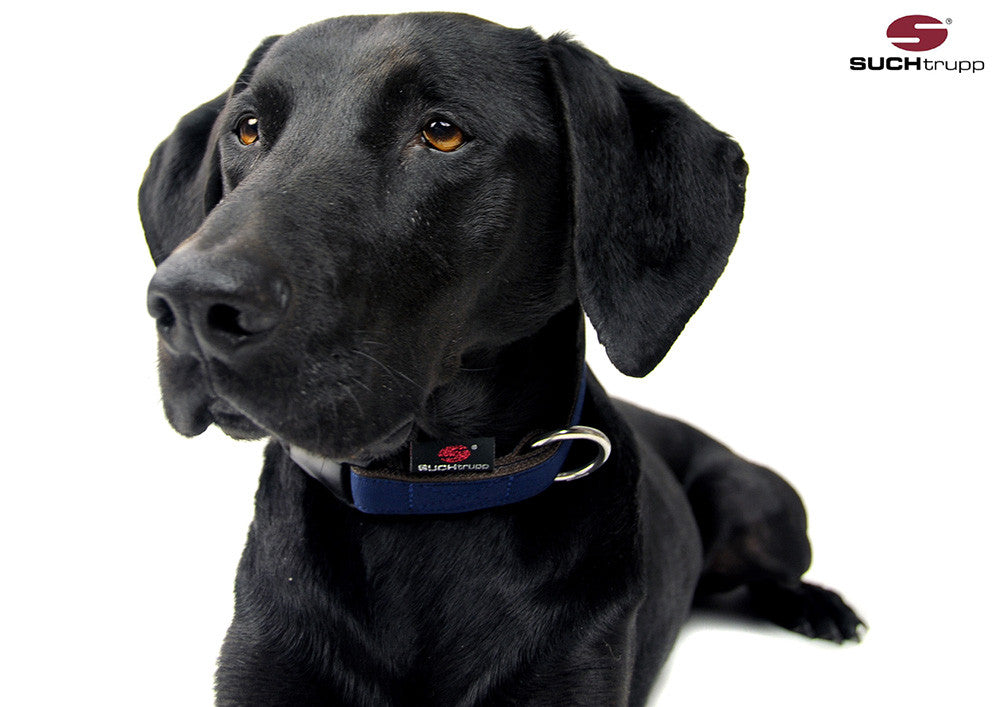 Collier pour chien bleu foncé de SUCHtrupp