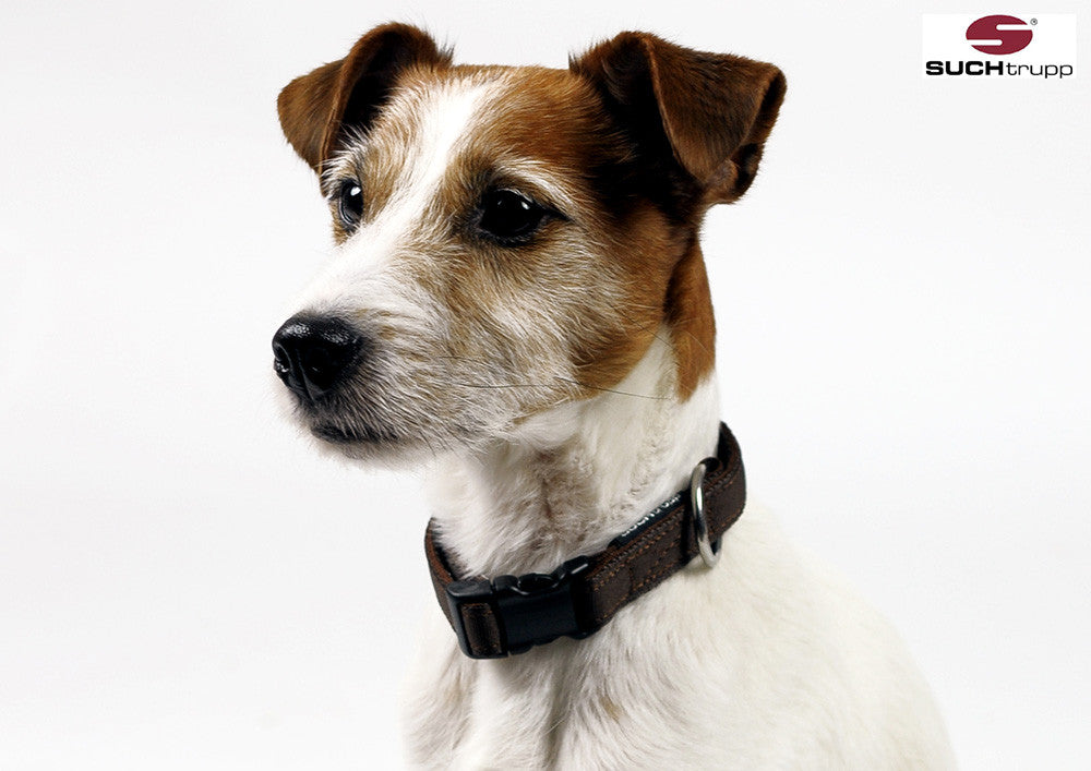 Collier pour chien Choco Brown de SUCHtrupp