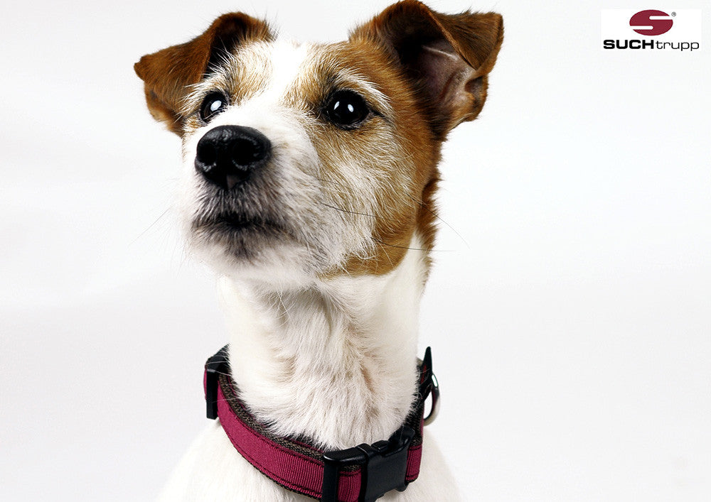 Collier pour chien ROUGE VIN de SUCHtrupp