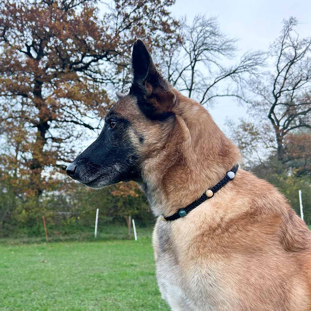 Healing Gemstone Necklace for Dogs - Strength & Vitality - HUNDINI