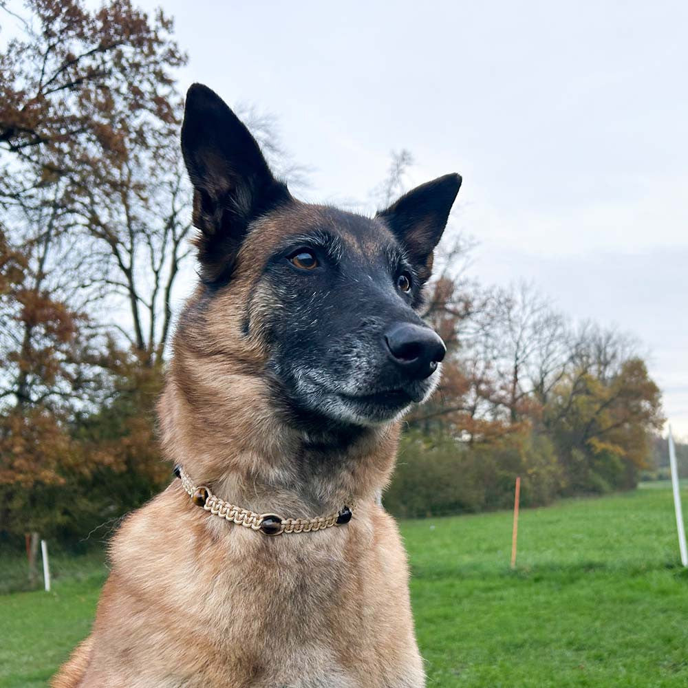 Collier de pierres curatives pour chien - Calme & Sérénité - HUNDINI