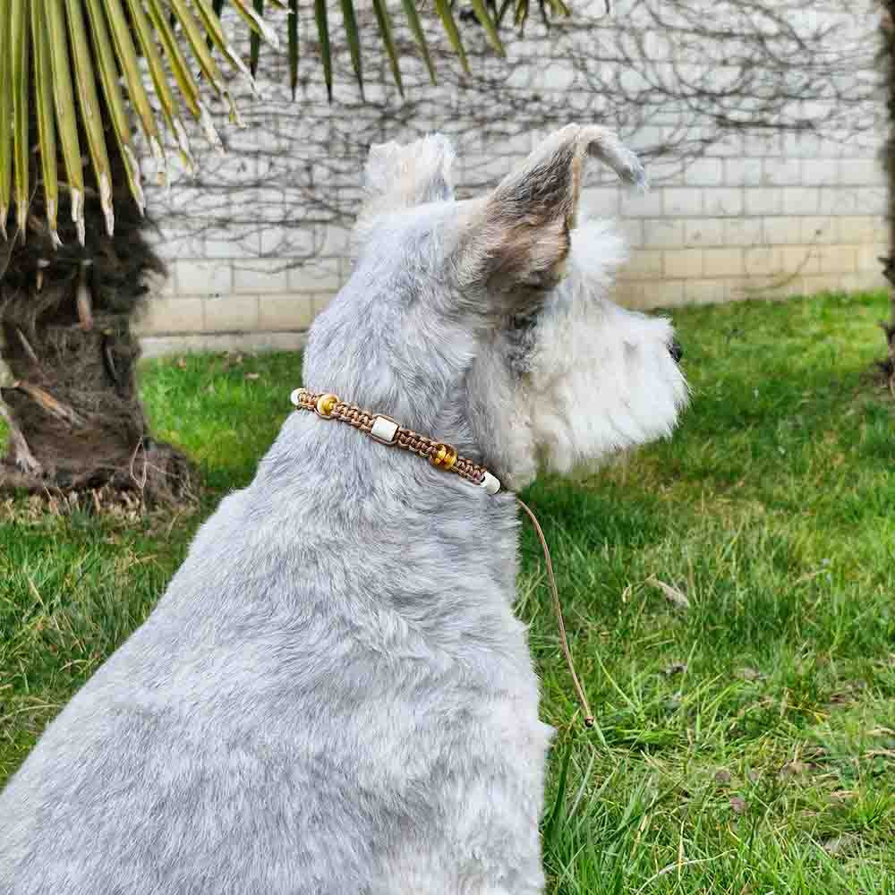 Hundekette - Bernstein - EM - by HUNDINI