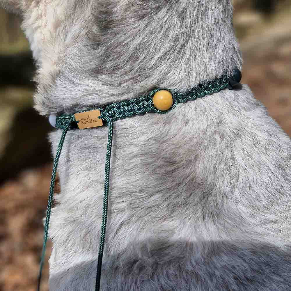 Healing Gemstone Necklace for Dogs - Strength & Vitality - HUNDINI