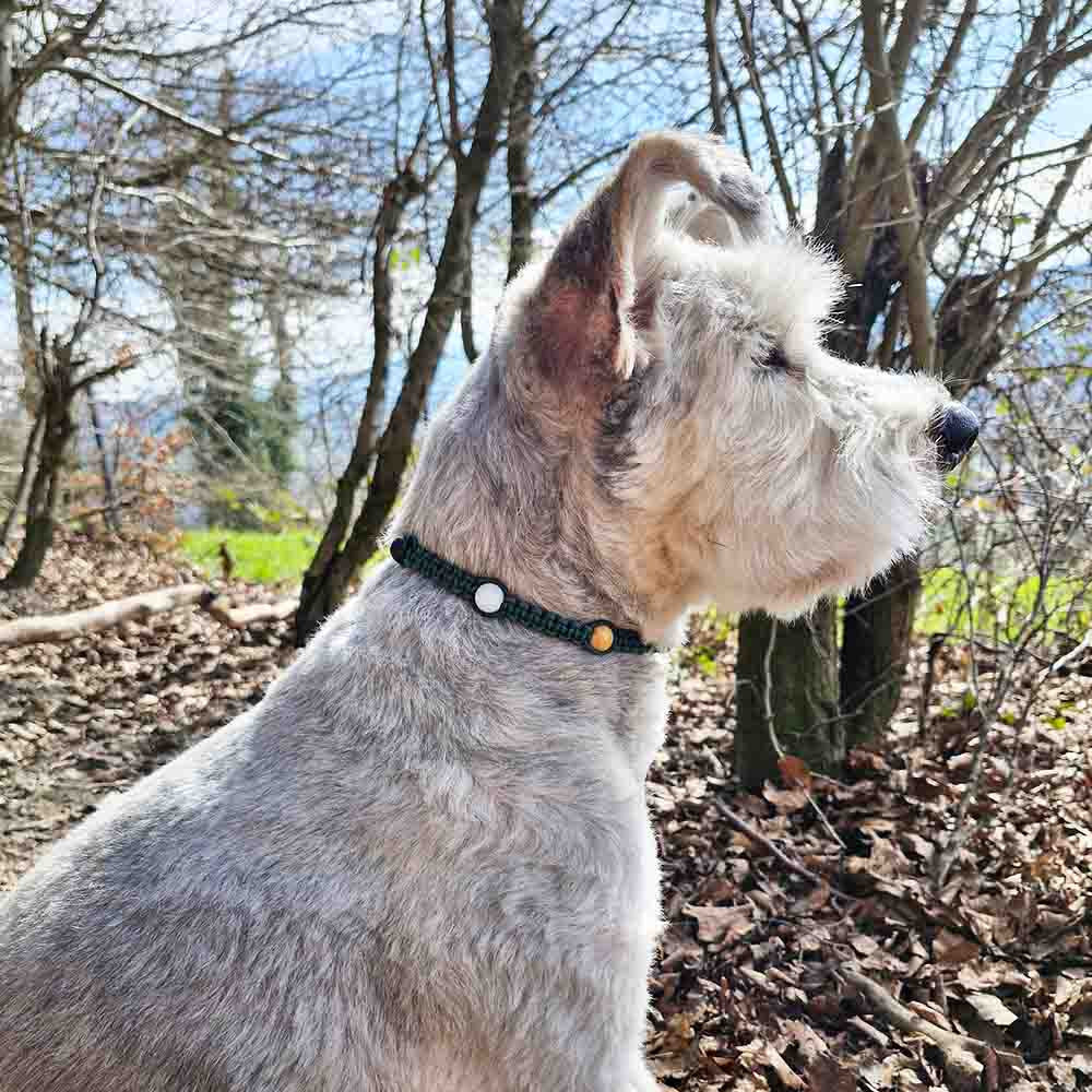 Healing Gemstone Necklace for Dogs - Strength & Vitality - HUNDINI